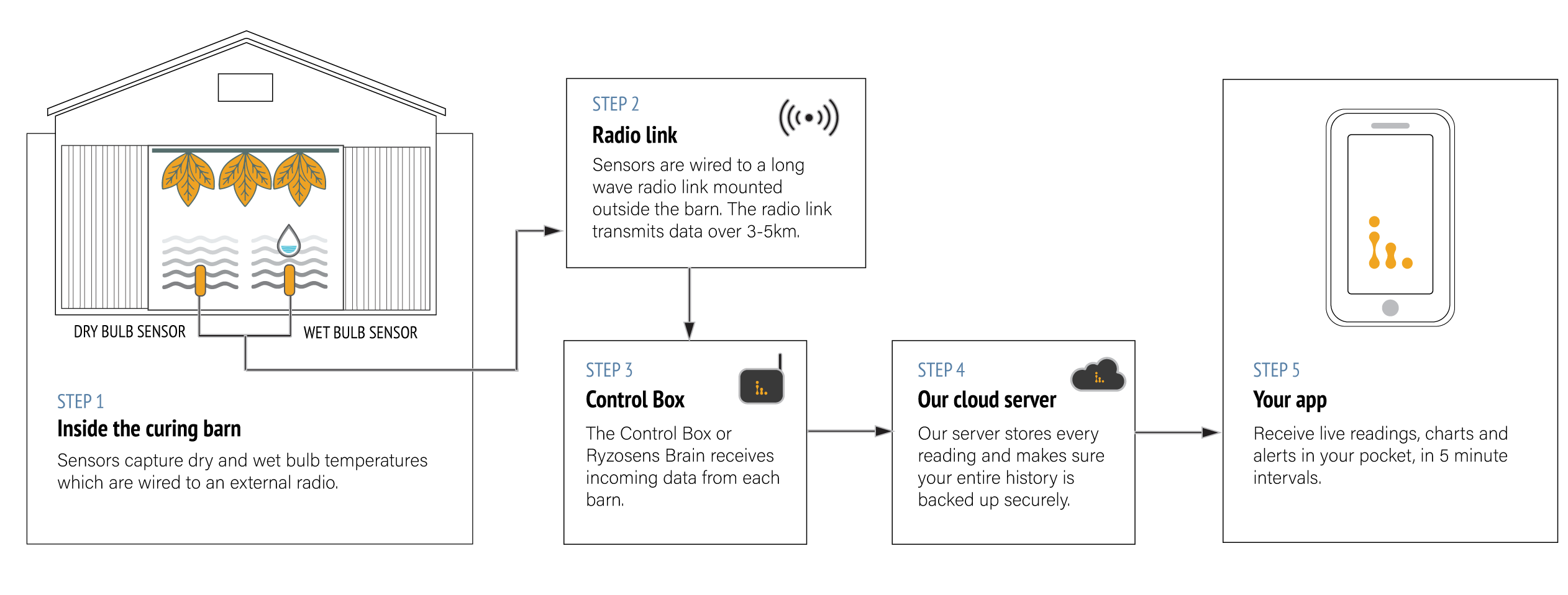 Diagram showing how Ryzosens monitors a tobacco curing barn: dry bulb and wet bulb sensors inside the barn send data by long-range radio (3-5km) to the Ryzosens control box, which uploads to the cloud server, delivering live readings, charts and alerts to your phone every 5 minutes.